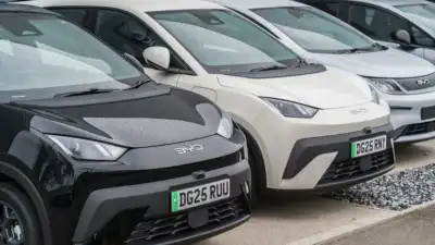 BYD rules out UK factory over high energy costs